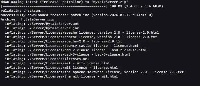Hytale Server Auth Completed